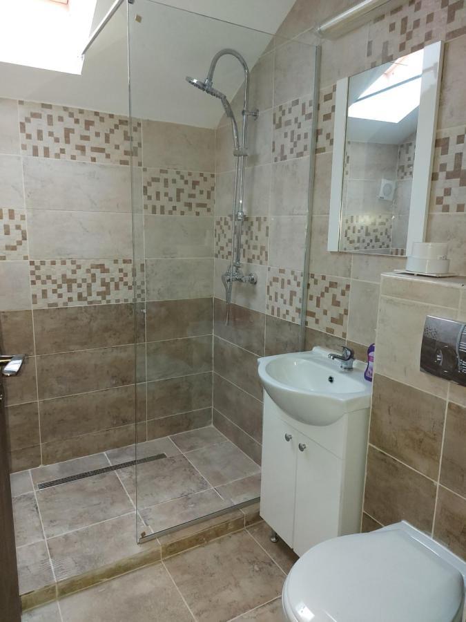 Sinnicoara Pensiunea Albina מראה חיצוני תמונה