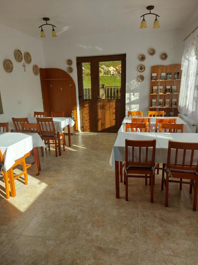 Sinnicoara Pensiunea Albina מראה חיצוני תמונה